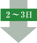 2~3日 2~3日